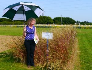 Demonstrating exhibits at NIAB Innovation Farm